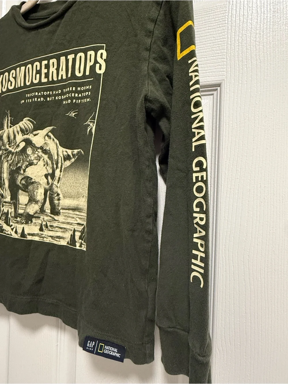 Gap Kids National Geographic Kids Olive Green Dinosaur Graphic Long Sleeve Tee